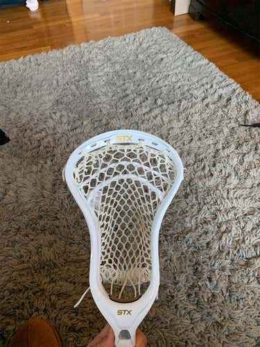 New Attack & Midfield Strung Stallion Head