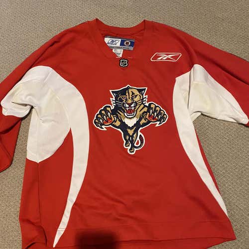 Reebok Panthers Pro Stock Practice Jersey