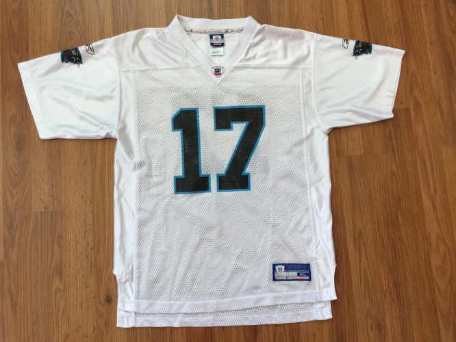 Carolina Panthers Jake Delhomme #17 VINTAGE NFL Boys Sz XL Kids Football Jersey!