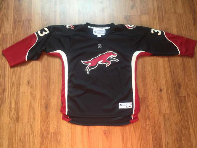 Arizona Coyotes Adrian Aucoin #33 NHL REEBOK Boys Size L/XL Kids Hockey Jersey!