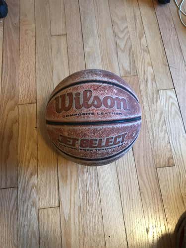 Brown Women's Wilson Basketball