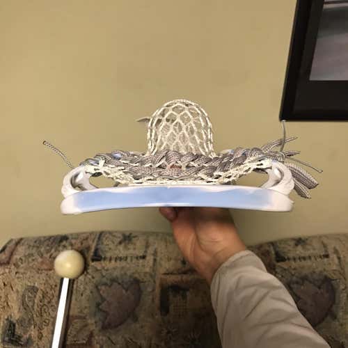 New Attack & Midfield Strung Stallion 700 Head