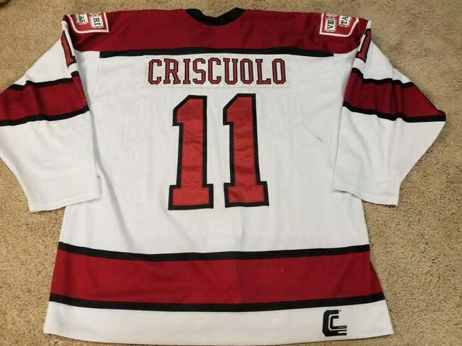 KYLE CRISCUOLO 14'15 White Harvard ECAC PHOTOMATCHED Game Worn Jersey COA