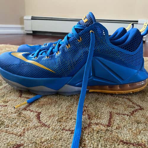 Nike LeBron 12 Low Entourage Shoes