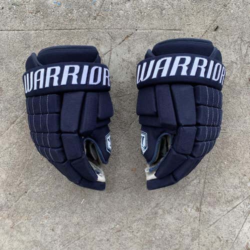 Blue Used Warrior 15" Pro Stock Gloves