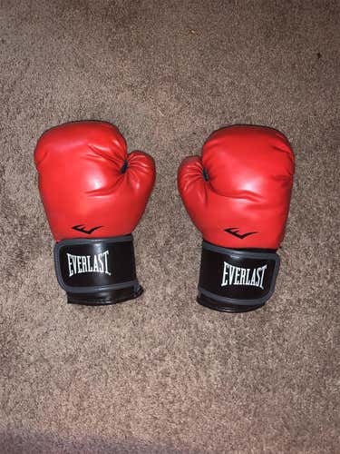 NEW Everlast Classic Boxing Training Gloves