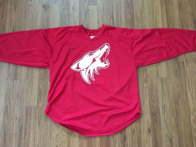 Arizona Coyotes NHL SUPER AWESOME Red #2 Size Small Practice Hockey Jersey!