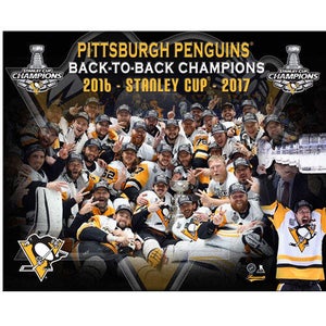 New Pittsburgh Penguins Large 2017 Stanley Cup Plaque
