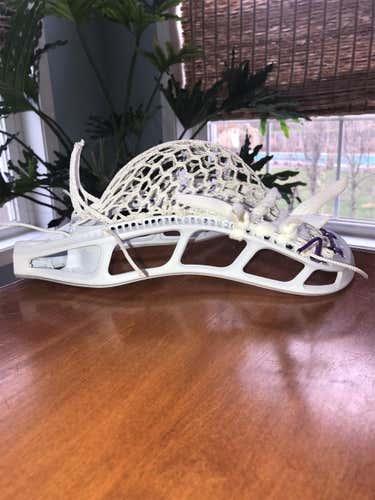 Strung Sting King Mark 2v