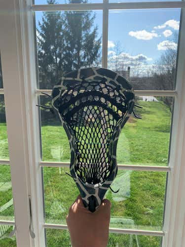 Used Strung Evo X Head turtle dye