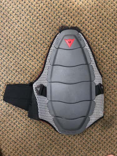 Used Dainese Back Protector 18in