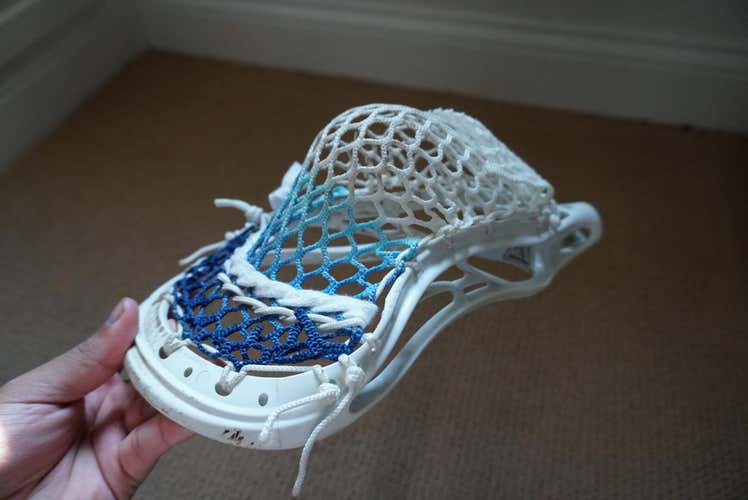 Evo X w/ Frost DMG Mesh