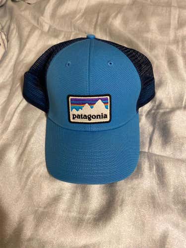 Patagonia Light And Navy Blue SnapBack Hat