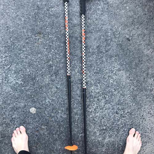 Used 44in (110cm) Leki Ski Poles