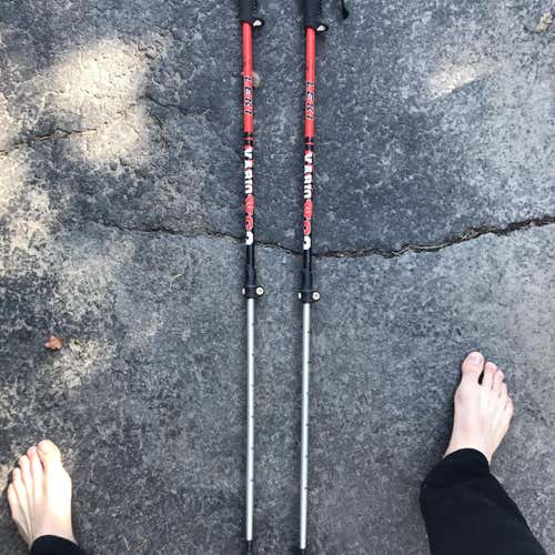 Used 44in (110cm) Alpine Touring Ski Poles