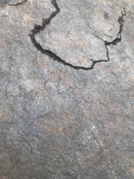 Roller Hockey Tiles-25