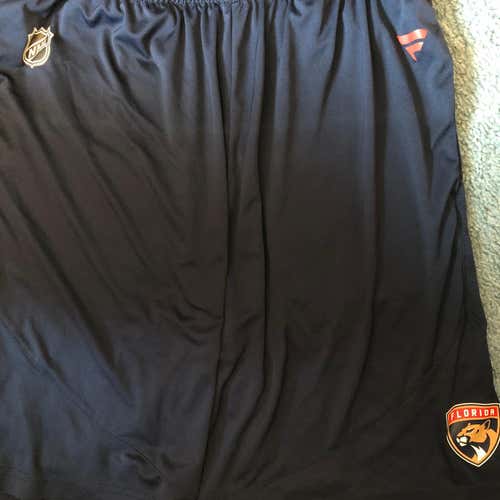 Florida Panthers Blue Men's Large  Training Shorts