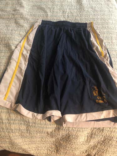 Blue Men's Medium Shorts