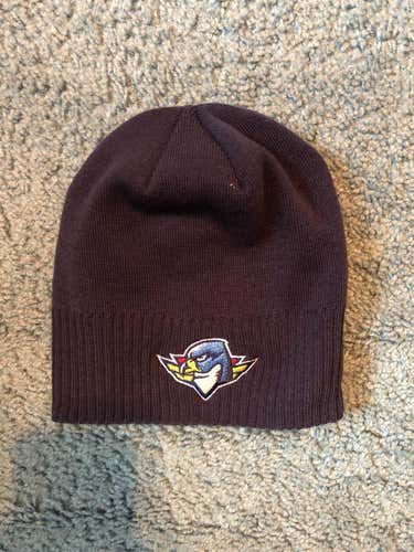 Springfield Thunderbirds CCM Blue Men's One Size Fits Winter Hat
