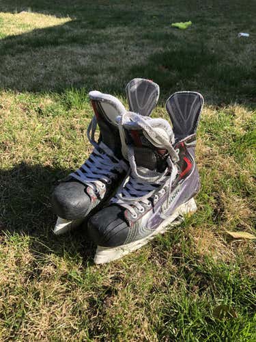 Senior Used Bauer Vapor X100 Hockey Skates D&R (Regular) Size 8