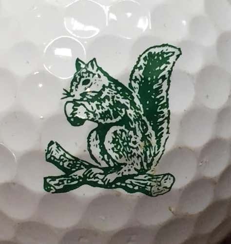 27 Titleist Pro V1 Practice Balls from THE COUNTRY CLUB with LOGO!