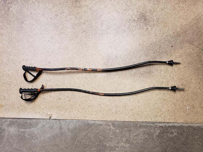 Rossignol 120cm DH/SG poles