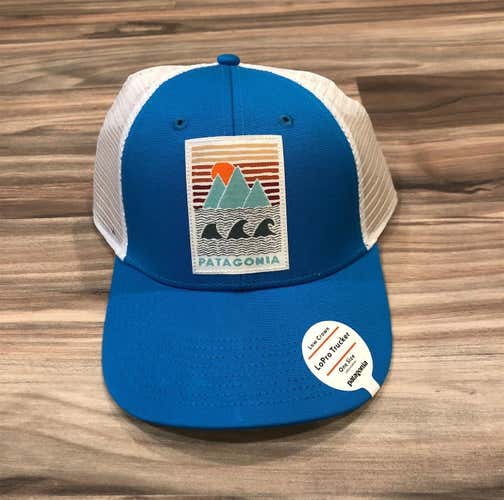 NWT Patagonia Trucker Hat