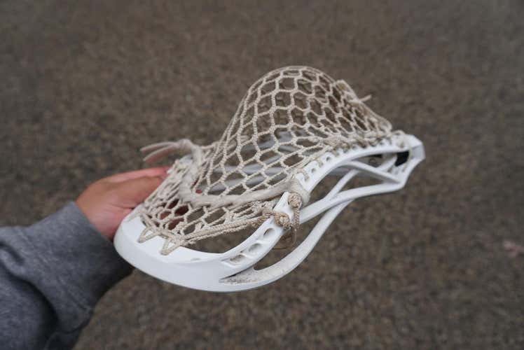 Warrior Regulator w/ Stringking 2x