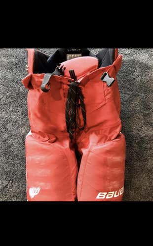 Detroit Red wings  Large +1 Bauer Pro Stock Pants