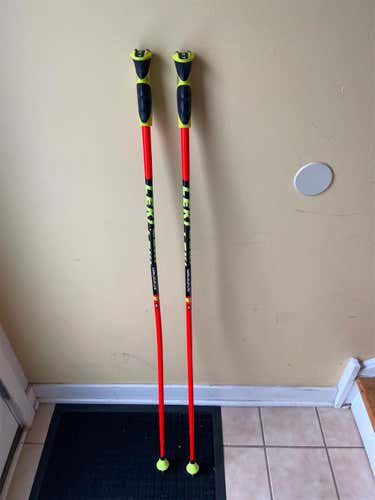 Used 48in (120cm) Racing World Cup Lite GS Ski Poles