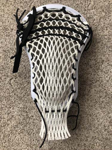 New Warrior Strung Evo Warp Next Head