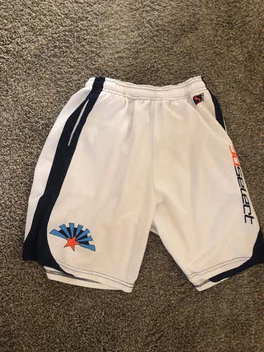 3d Arizona Team Shorts