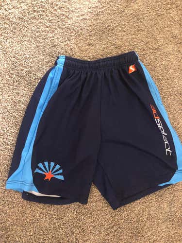 3d Arizona Team Shorts