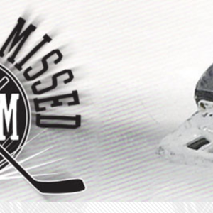 1 Pair of No Shifts Missed Custom Skate Guards 6573