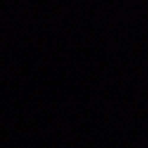 Senior  Bauer Compression