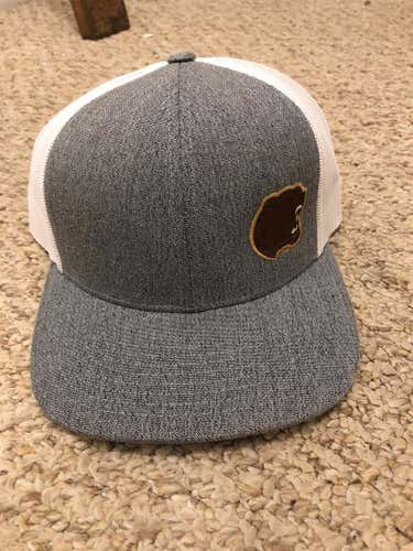 Gray Hershey Bears Hat (AHL)