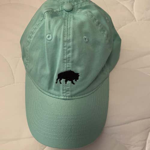 Mint Green Bison Dad Hat