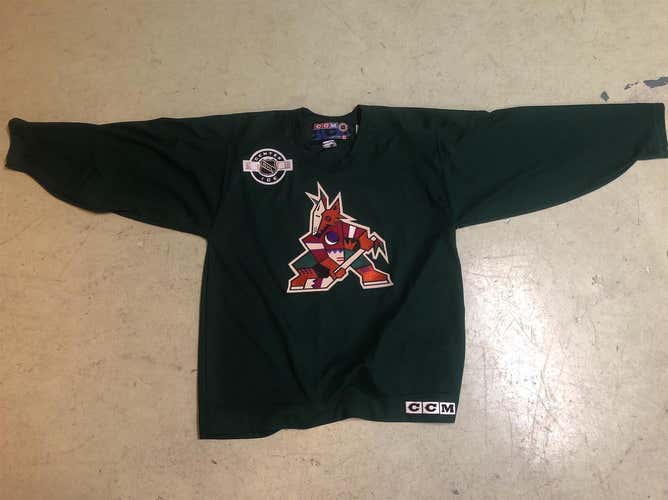 Jeremy Roenick Green Phoenix Coyotes Practice Jersey Fully Stitched Men's Large CCM