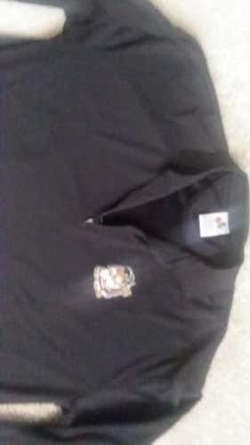 South Bend silverhawks pullover