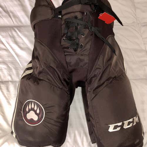 Hershey Bears CCM HP45X Hockey Pants - XL