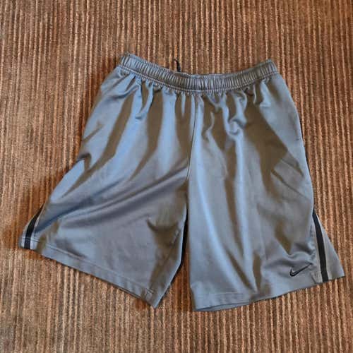 Gray Nike Shorts (Large)