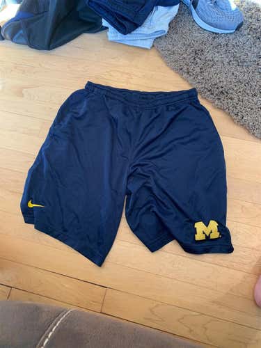 Blue Men's Medium Nike Shorts