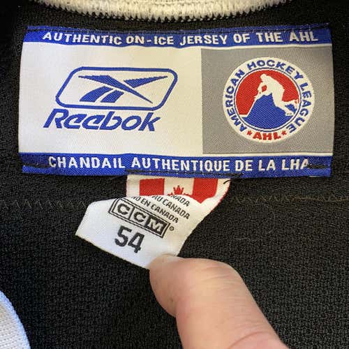 San Antonio Rampage Enver Lisin