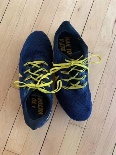 University of Michigan Blue Unisex 10 (Women's 11) Nike Shoes