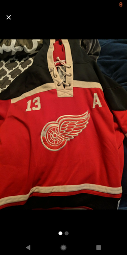 Pavel Datsyuk hooded jersey