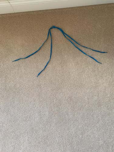Blue Men's Shoelace
