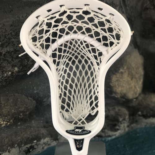 New FOGO Strung Dictator ST Head