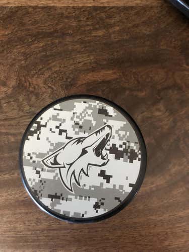 One  coyote puck