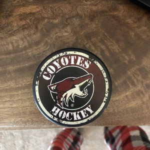 New coyote ice puck