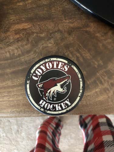 New coyote ice puck